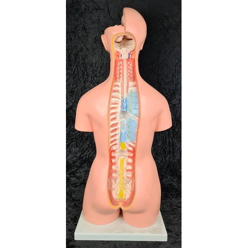 273 - Educational life size anatomical torso model with bits and pieces. Approx H85cm