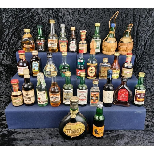 Lot 442       