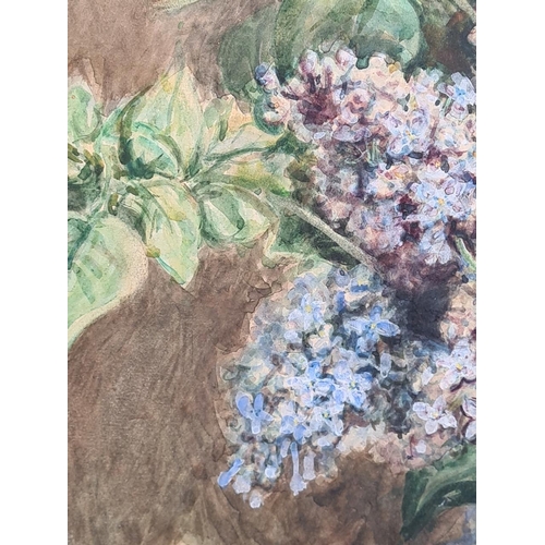 21 - Beautiful original watercolour on board of 