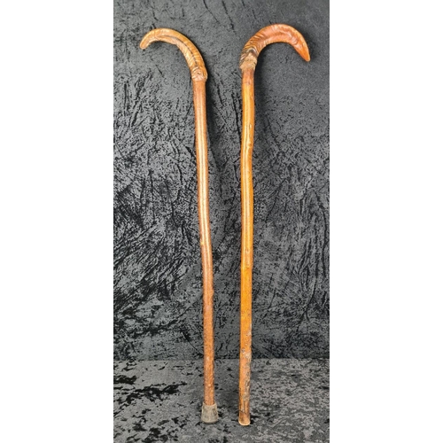 27b - Pair of Exmoor sheep horn shepherd sticks.