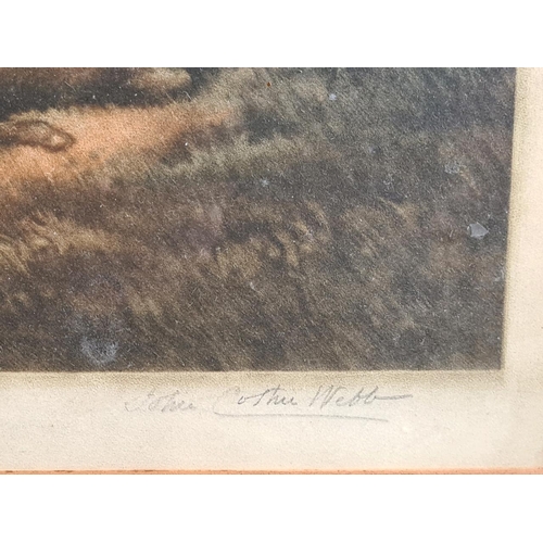 Framed print of a country scene signed by the artist John Cother Webb ...