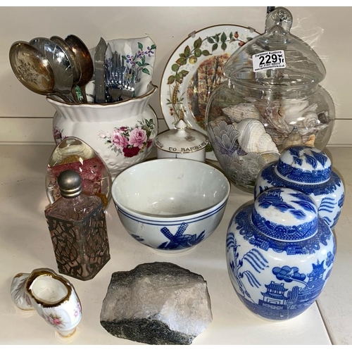 Lot 229       