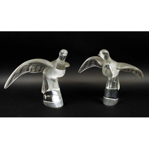 416 - LALIQUE COLOMBE CLITA DOVES, two, in flight, frosted glass, 25cm H x 33cm. (2)