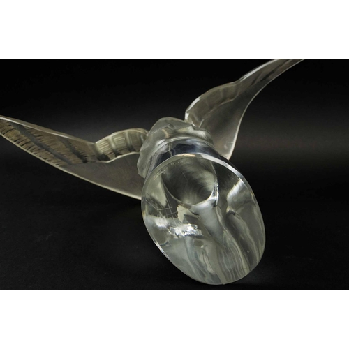 416 - LALIQUE COLOMBE CLITA DOVES, two, in flight, frosted glass, 25cm H x 33cm. (2)