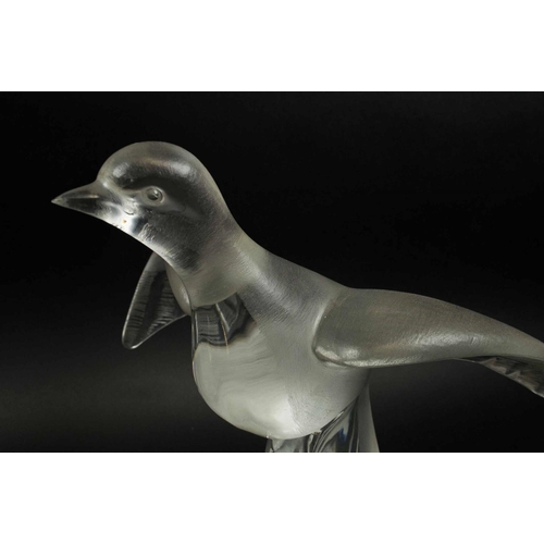 416 - LALIQUE COLOMBE CLITA DOVES, two, in flight, frosted glass, 25cm H x 33cm. (2)