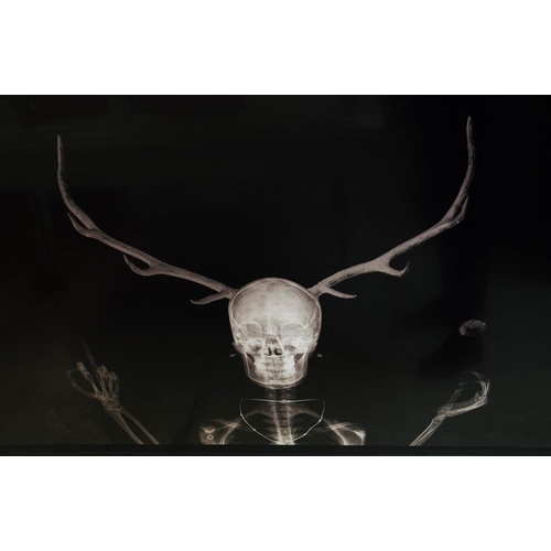 150 - ALEXANDER DE CADENET (British b. 1974) 'The Trophy (The Guardian of my Virginity)', 2010, photograph... 