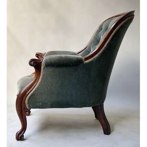 624 - ARMCHAIR, early Victorian mahogany with button smoke blue upholstery, 66cm W.