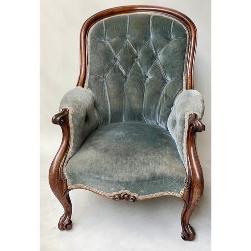 624 - ARMCHAIR, early Victorian mahogany with button smoke blue upholstery, 66cm W.