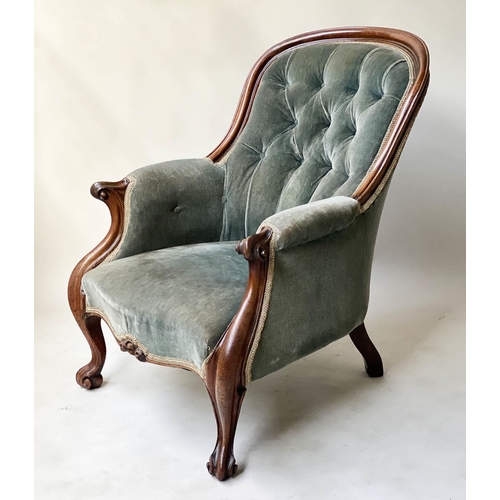 624 - ARMCHAIR, early Victorian mahogany with button smoke blue upholstery, 66cm W.