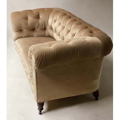 604 - CHESTERFIELD SOFA, Victorian walnut upholstered in golden brown velvet with rounded buttoned back an... 