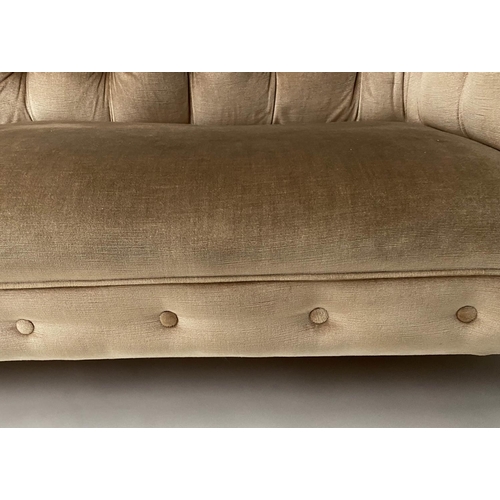 604 - CHESTERFIELD SOFA, Victorian walnut upholstered in golden brown velvet with rounded buttoned back an... 