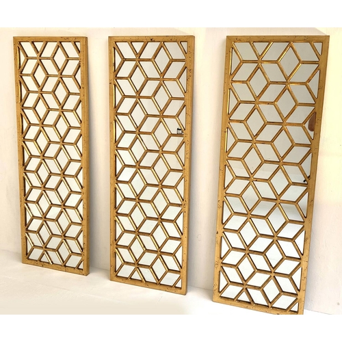 142 - ARCHITECTURAL ACCENT MIRRORS, a set of three, 118cm x 40cm (3).