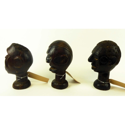 373 - THREE MAKONDE HEADS, Angola, carved wood, 27cm H x 15cm. (3)