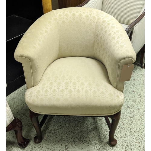 550 - TUB CHAIR, Edwardian mahogany upholstered in cream damask, 82cm H x 70cm.