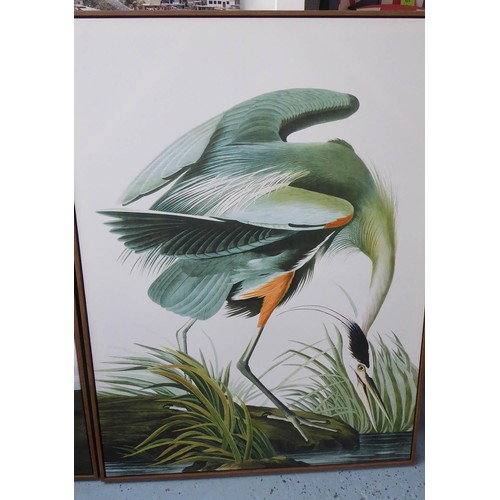 193 - AFTER JOHN JAMES AUBUDON PRINTS, a pair, 113cm x 83cm, from the birds of America. (2)