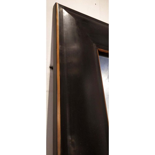 553 - WALL MIRROR, 80cm W x 220cm L, ebonised.