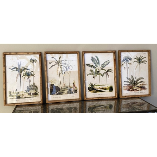 167 - BOTANICAL PRINTS, a set of four, 50cm x 45cm. (4)