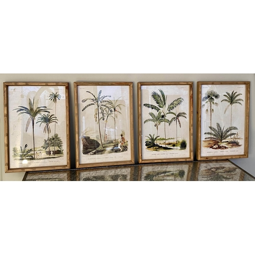 167 - BOTANICAL PRINTS, a set of four, 50cm x 45cm. (4)