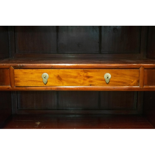 254 - NINGBO CABINETS, 181cm H x 110cm x 60cm, a pair, 19th century Chinese hardwood, with two doors enclo... 