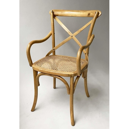 338 - DINING CHAIRS, a set of six, oak bentwood with X backs and cane seats including two with arms. (6)