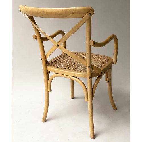 338 - DINING CHAIRS, a set of six, oak bentwood with X backs and cane seats including two with arms. (6)