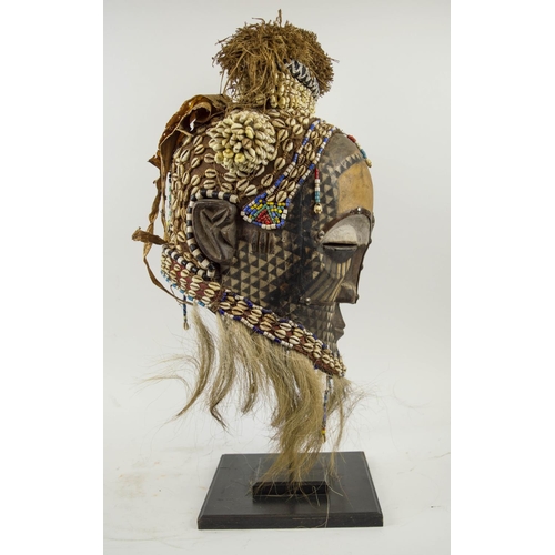 115 - KUBA MASK, Congolese, carved wood, painted and adorned with Cowrie shells and beads 65cm H