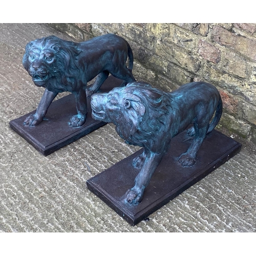 585 - ROARING LIONS, a pair, each 42cm x 55cm L x 22cm W, faux bronze composite cast. (2)