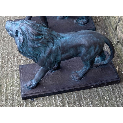 585 - ROARING LIONS, a pair, each 42cm x 55cm L x 22cm W, faux bronze composite cast. (2)