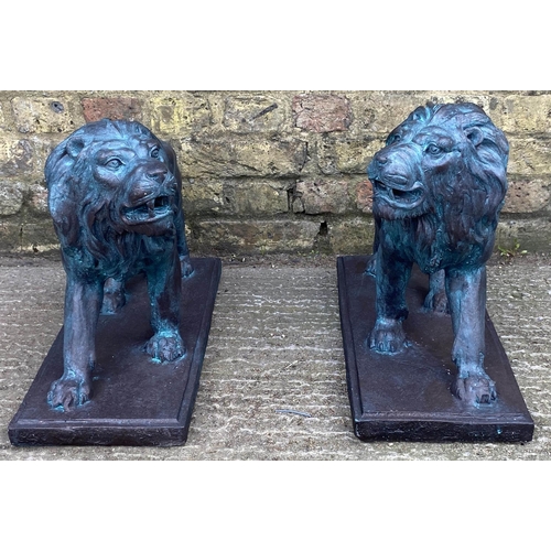 585 - ROARING LIONS, a pair, each 42cm x 55cm L x 22cm W, faux bronze composite cast. (2)