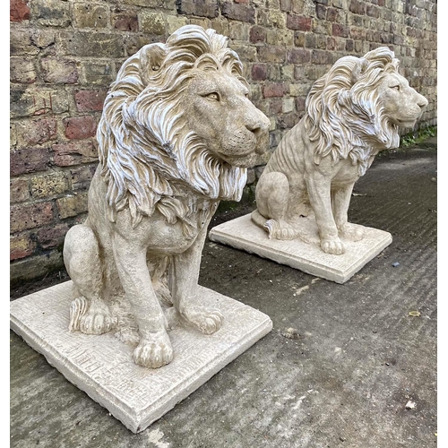 515 - SCULPTURAL LIONS, a pair, 70cm H, composite stone. (2)