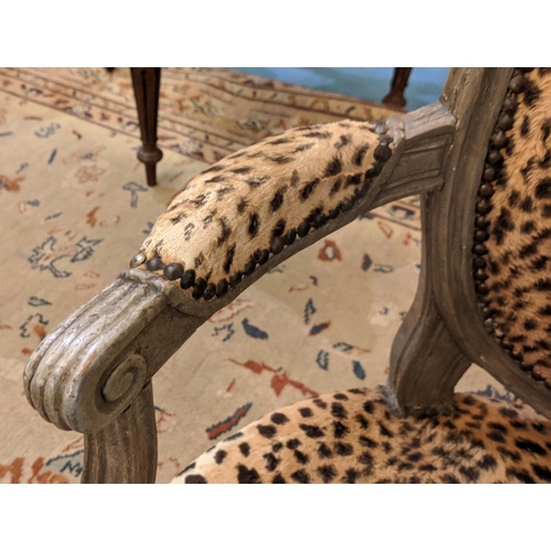 176 - CHILD'S FAUTEUIL, 53cm x 78cm H, Louis XVI and later grey painted leopard print upholstery.