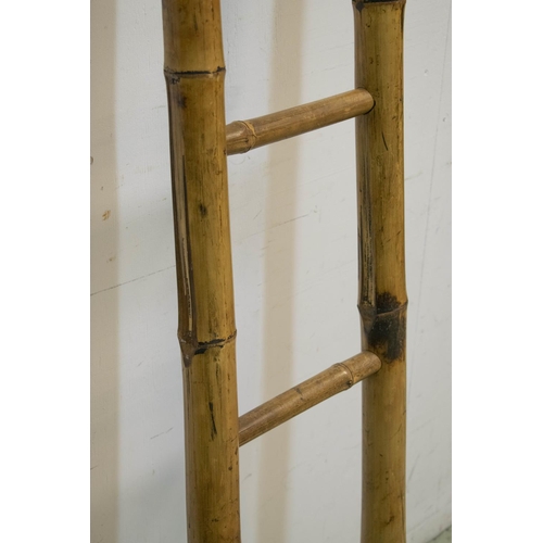 163 - LADDER, 210cm H x 37cm, vintage bamboo.