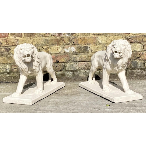 478 - CONTEMPORARY SCHOOL, sculptural roaring lions, a pair, each 42cm H x 55cm W x 22cm D, resin in a pai... 