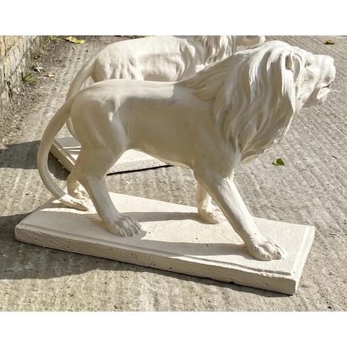 478 - CONTEMPORARY SCHOOL, sculptural roaring lions, a pair, each 42cm H x 55cm W x 22cm D, resin in a pai... 