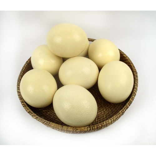 551 - OSTRICH EGGS, eight, in a basket 46cm W. (8)