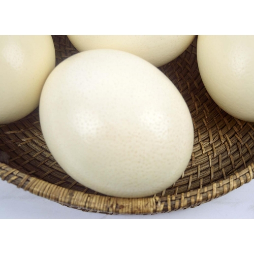 551 - OSTRICH EGGS, eight, in a basket 46cm W. (8)