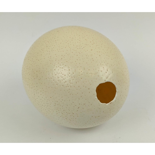 551 - OSTRICH EGGS, eight, in a basket 46cm W. (8)