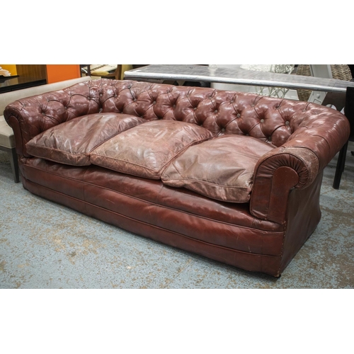 581 - CHESTERFIELD SOFA, 77cm H x 239cm x 109cm, late Victorian in old red leather.