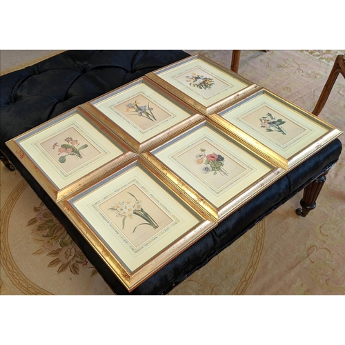 30 - PRINTS, a set of six gilt framed, mounted and glazed, 'Redoute', 40cm H x 30cm W, each. (6)