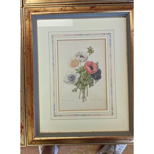 30 - PRINTS, a set of six gilt framed, mounted and glazed, 'Redoute', 40cm H x 30cm W, each. (6)