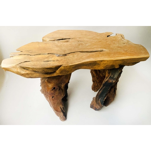 588 - ROOT GARDEN TABLE, weathered yewwood tree section and root support, 134cm x 70cm x 74cm H.