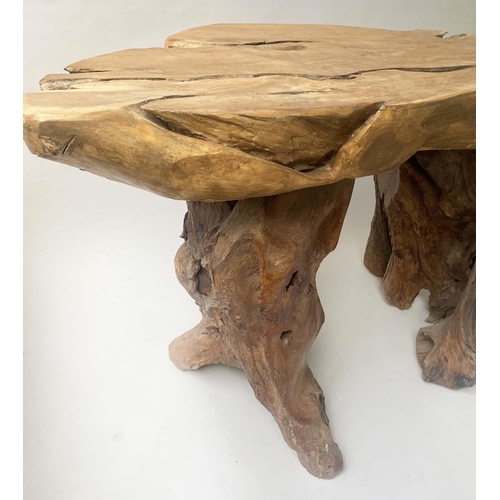 588 - ROOT GARDEN TABLE, weathered yewwood tree section and root support, 134cm x 70cm x 74cm H.