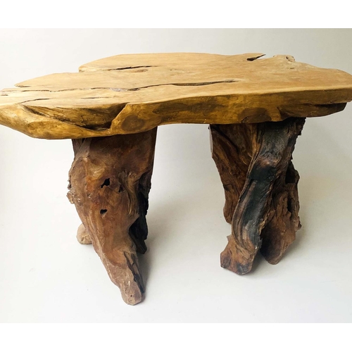 588 - ROOT GARDEN TABLE, weathered yewwood tree section and root support, 134cm x 70cm x 74cm H.