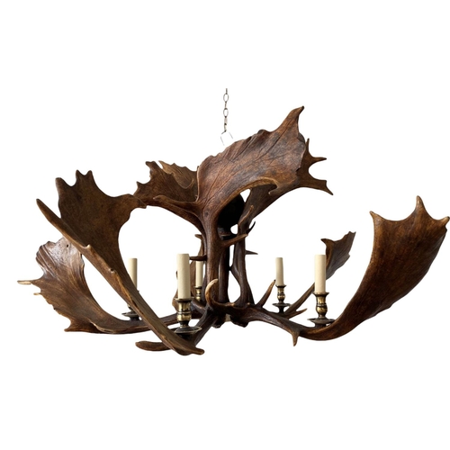 139 - FALLOW ANTLER CHANDELIER, five branch, 50cm drop approx.