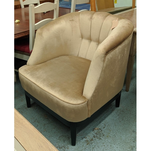 553 - BUTTONED BACK TUB ARMCHAIR, 85cm W x 90cm H in gold chenile.