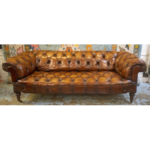 343 - CHESTERFIELD SOFA, 69cm H x 210cm W x 91cm D, Victorian mahogany, circa 1870, in brown leather on ce... 