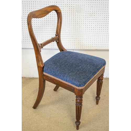 272 - DINING CHAIRS, a matched set of ten, Victorian mahogany with blue chenille stuffover seats, 87cm H. ... 