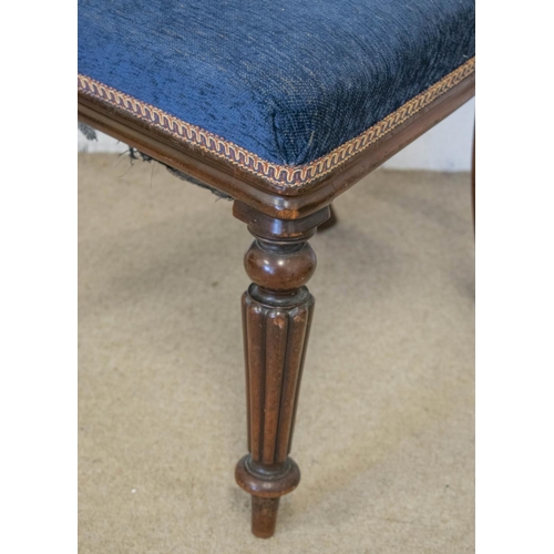 272 - DINING CHAIRS, a matched set of ten, Victorian mahogany with blue chenille stuffover seats, 87cm H. ... 