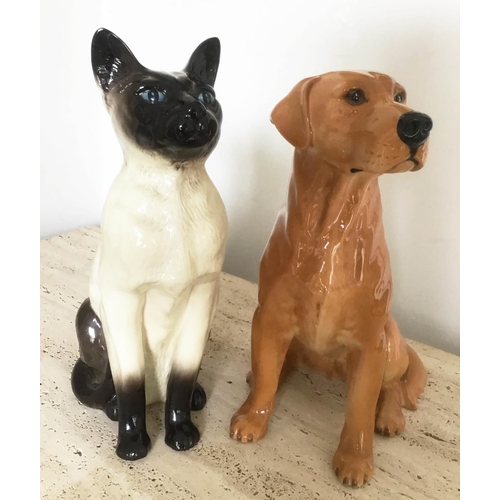 16 - BESWICK FIGURES, large siamese cat 2139 and gold labrador 2314, each 35cm H. (2)