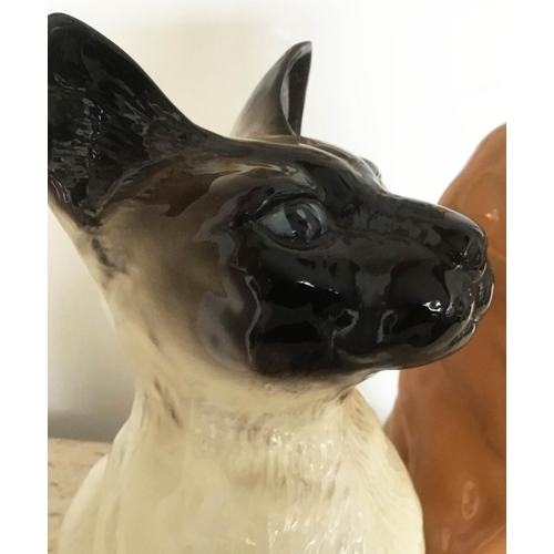 16 - BESWICK FIGURES, large siamese cat 2139 and gold labrador 2314, each 35cm H. (2)